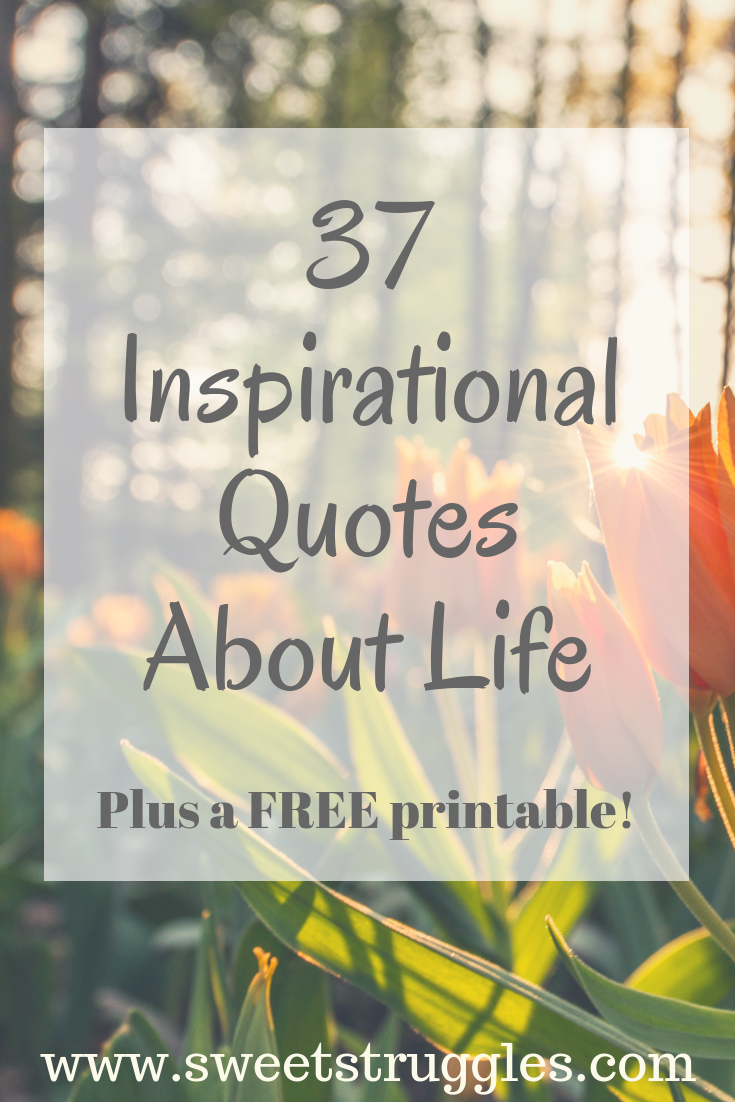 Inspirational Life Quotes | Sweet Struggles